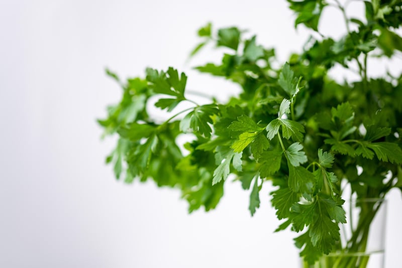 Fresh Herbs